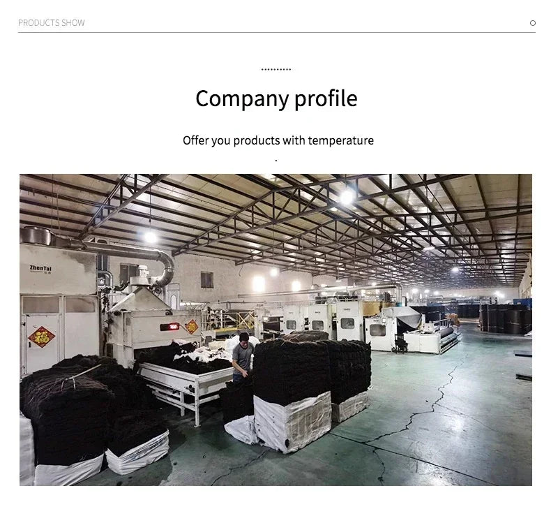 Retro Ethnic Oval Carpets for Living Room Large Area Rugs Home Room Decor Hallway Boho Carpet Beside Bedroom Luxury Floor Mats